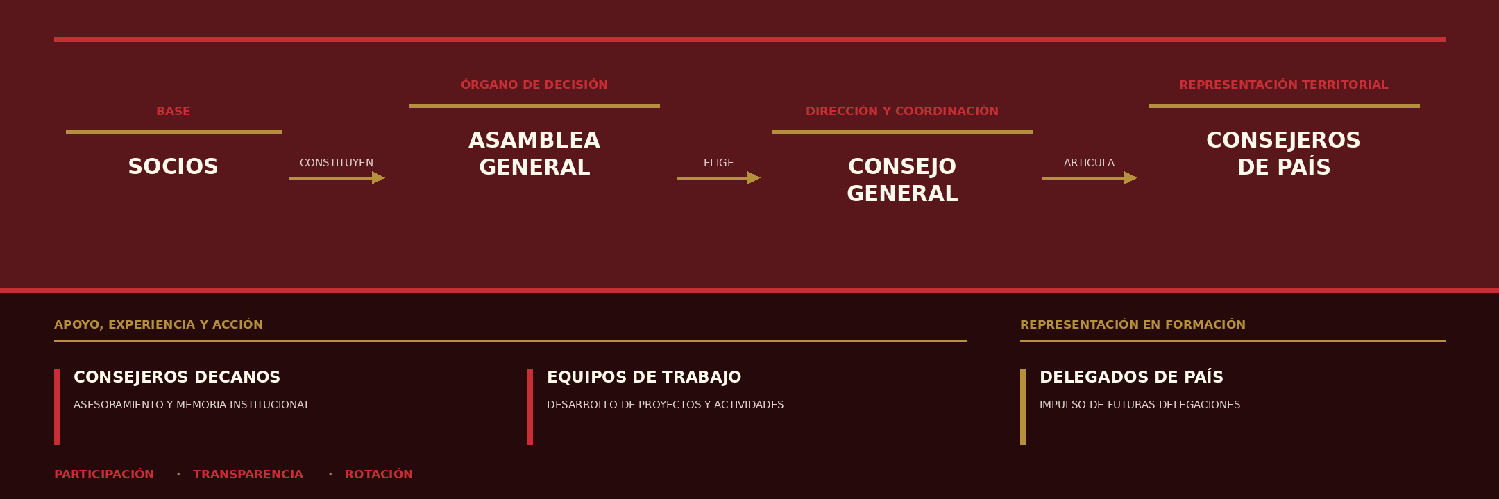 Esquema de organización de TUDI